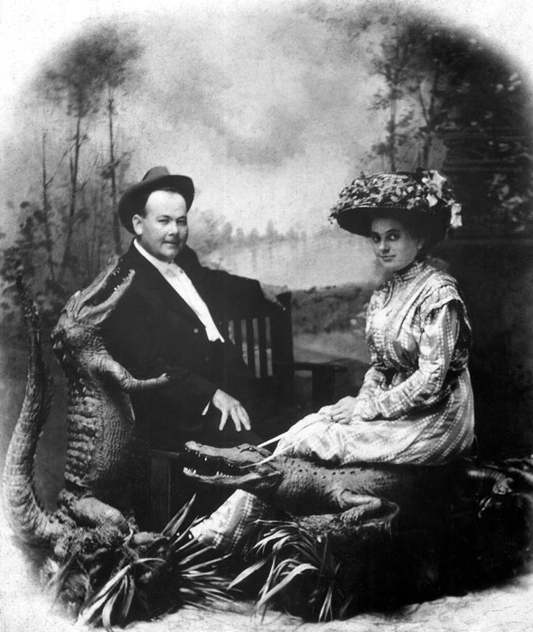 Old Florida alligator portrait